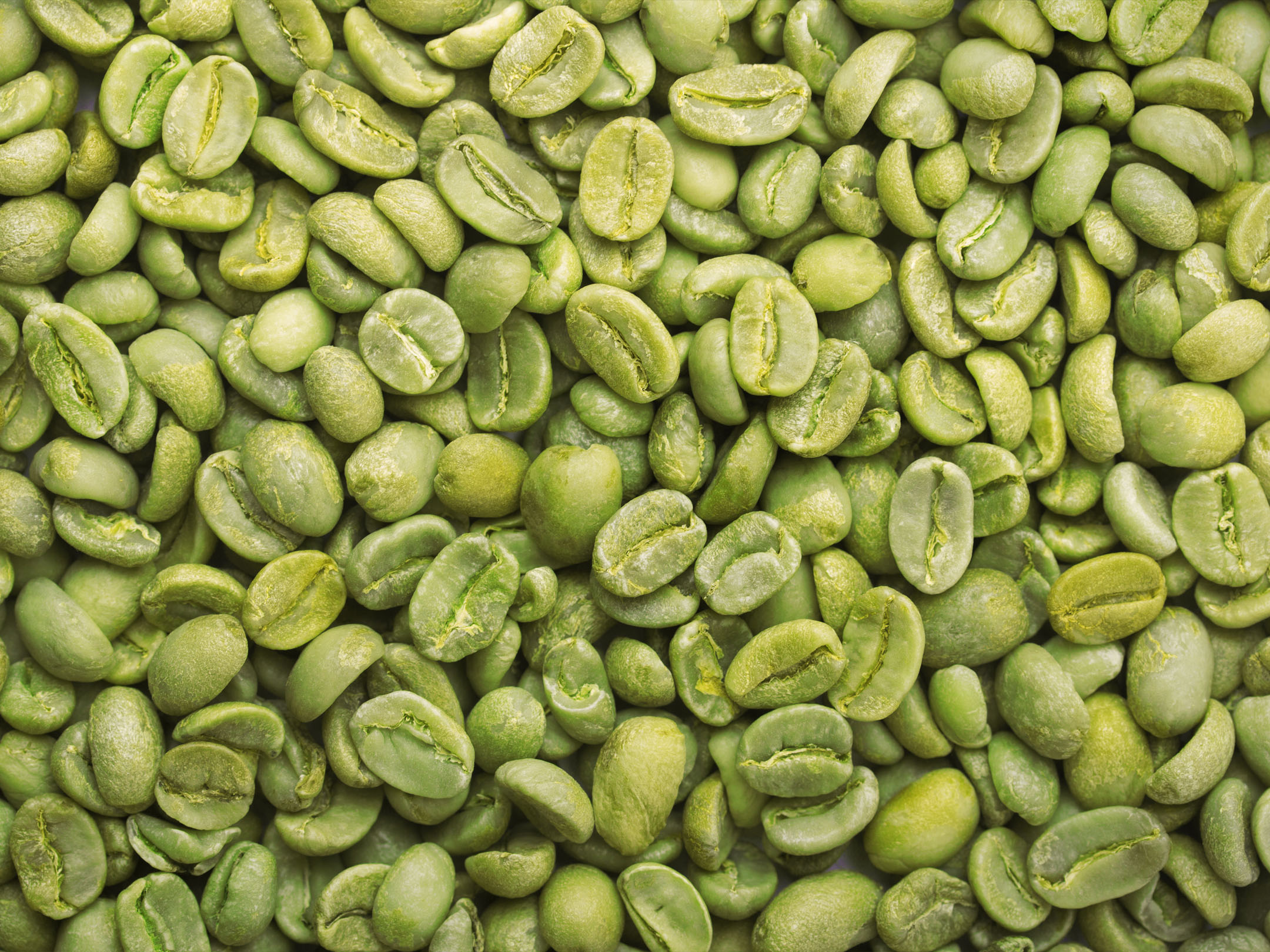 緑色のコーヒー豆。