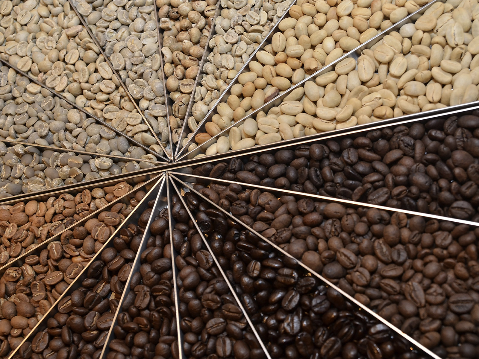 いろんなコーヒーがあるけれど、 コーヒー豆の原種は、たった３種類。