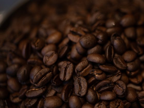 軽井沢の森から見える青空を想像する、板倉和之 – Coffee story –  #1 Beans